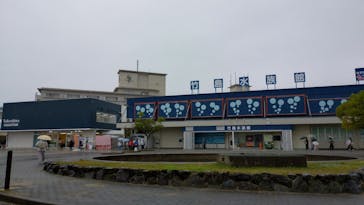 竹島水族館に投稿された画像（2025/12/4）