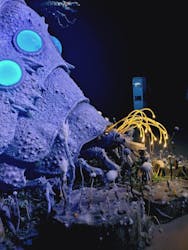 金曜ロードショーとジブリ展（静岡展）に投稿された画像（2025/12/4）