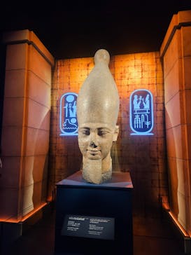 ACN ラムセス大王展 ファラオたちの黄金に投稿された画像（2025/12/4）