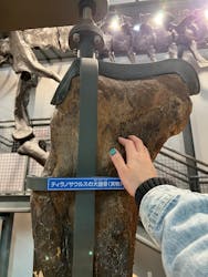 福井県立恐竜博物館に投稿された画像（2025/12/4）