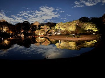 六義園に投稿された画像（2025/12/4）