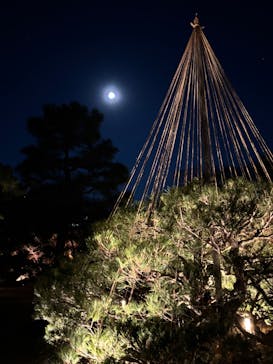 六義園に投稿された画像（2025/12/4）