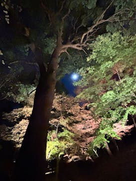 六義園に投稿された画像（2025/12/4）