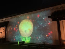 NAKED meets 二条城 2025 観月に投稿された画像（2025/12/4）