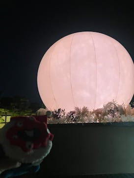 NAKED meets 二条城 2025 観月に投稿された画像（2025/12/4）