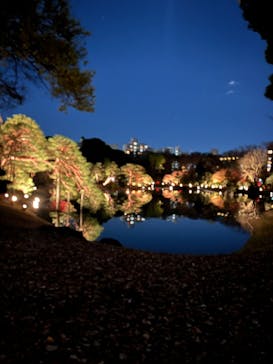 六義園に投稿された画像（2025/12/4）