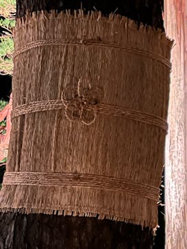 六義園に投稿された画像（2025/12/4）