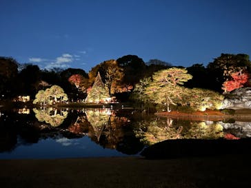 六義園に投稿された画像（2025/12/4）