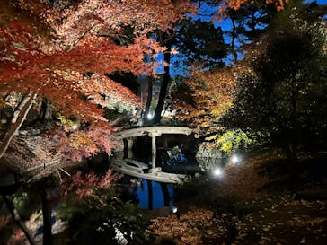 六義園に投稿された画像（2025/12/4）