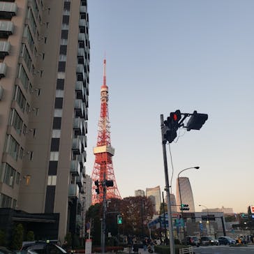 東京タワーに投稿された画像（2025/12/4）