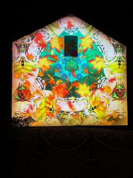 六義園に投稿された画像（2025/12/4）