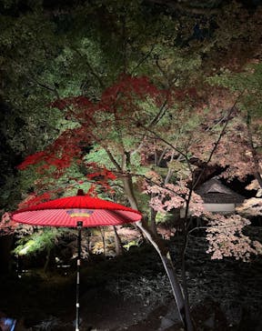 六義園に投稿された画像（2025/12/4）