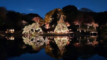 六義園に投稿された画像（2025/12/4）