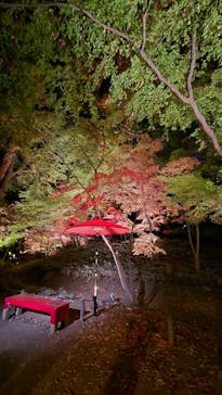 六義園に投稿された画像（2025/12/4）