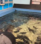 竹島水族館に投稿された画像（2025/12/5）