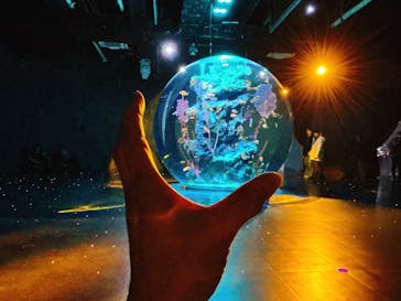 神戸みなと温泉 蓮×AQUARIUM × ART　atoaに投稿された画像（2025/12/5）