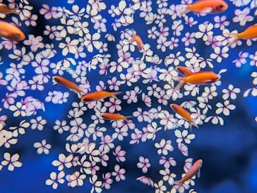 広島もとまち水族館に投稿された画像（2025/12/5）