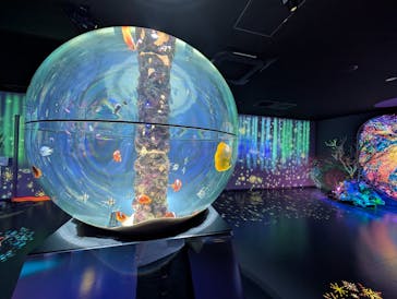 広島もとまち水族館に投稿された画像（2025/12/5）