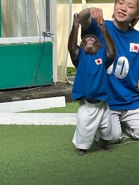 おさるランド＆アニタウン　日光さる軍団劇場に投稿された画像（2025/12/5）