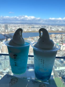 梅田スカイビル・空中庭園展望台に投稿された画像（2025/12/5）