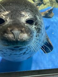 新江ノ島水族館に投稿された画像（2025/12/5）