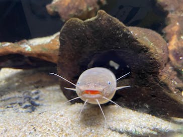 新江ノ島水族館に投稿された画像（2025/12/5）