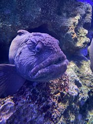 新江ノ島水族館に投稿された画像（2025/12/5）