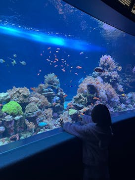 サンシャイン水族館に投稿された画像（2025/12/5）