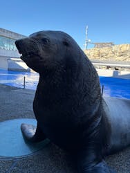 大分マリーンパレス水族館 「うみたまご」に投稿された画像（2025/12/5）