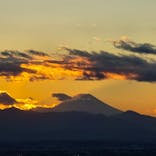 サンシャイン60展望台に投稿された画像（2025/12/5）