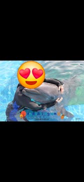 横浜・八景島シーパラダイスに投稿された画像（2025/12/5）