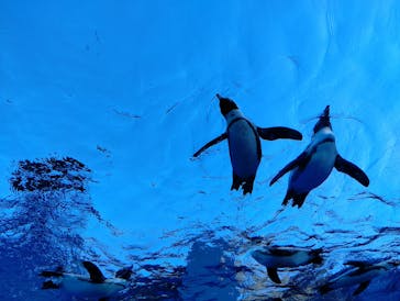 サンシャイン水族館に投稿された画像（2025/12/5）