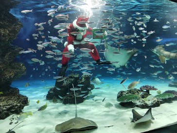 サンシャイン水族館に投稿された画像（2025/12/5）