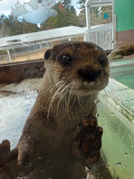 箱根園水族館に投稿された画像（2025/12/5）