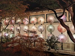 日本庭園　由志園に投稿された画像（2025/12/5）