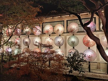 日本庭園　由志園に投稿された画像（2025/12/5）