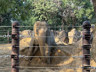 恩賜上野動物園に投稿された画像（2025/12/5）
