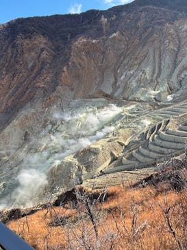 途易集団日本株式会社に投稿された画像（2025/12/5）