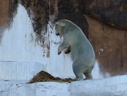 天王寺動物園に投稿された画像（2025/12/5）