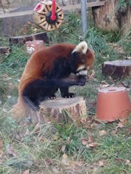 天王寺動物園に投稿された画像（2025/12/5）