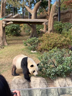 恩賜上野動物園に投稿された画像（2025/12/5）