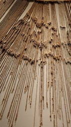 CREVIA マチュピチュ展／CREVIA MACHU PICCHU AND THE GOLDEN EMPIRES OF PERUに投稿された画像（2025/12/5）