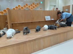 Cat Café MOFF コクーンシティさいたま新都心店に投稿された画像（2025/12/5）