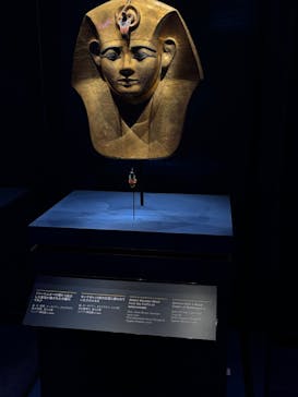 ACN ラムセス大王展 ファラオたちの黄金に投稿された画像（2025/12/5）