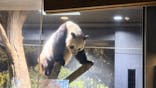恩賜上野動物園に投稿された画像（2025/12/5）