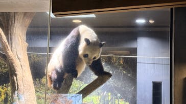 恩賜上野動物園に投稿された画像（2025/12/5）