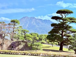 仙巌園に投稿された画像（2025/12/5）