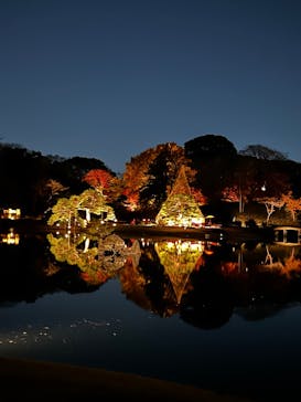 六義園に投稿された画像（2025/12/5）