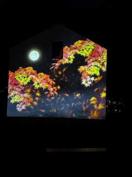 六義園に投稿された画像（2025/12/5）