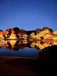 六義園に投稿された画像（2025/12/5）